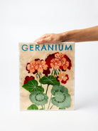 Buy Jones and Co - Market Wall Art Geranium by Jones & Co - at Hamish + Grace