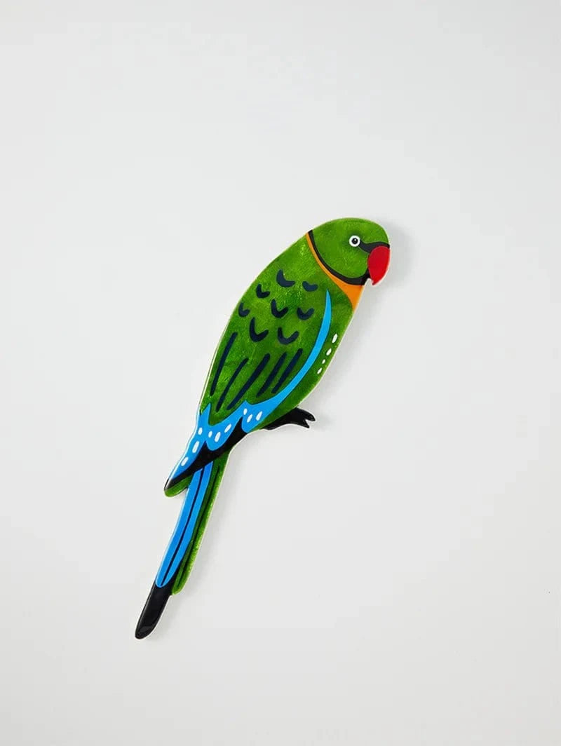 Jones & Co Homewares Jones and Co - Aerial Parrot Wall Art