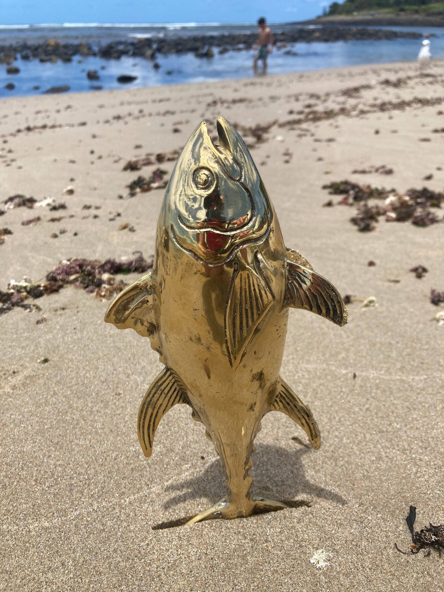 Buy Tuna Fish, 15cm, Bronze Handmade by Bronze Betty - at Hamish + Grace
